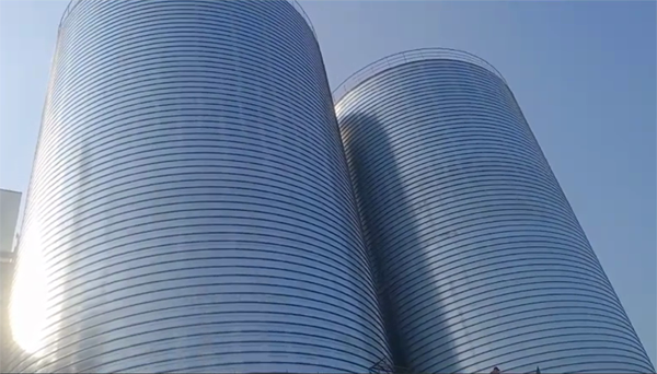 港闸2座混凝土高架卷板仓